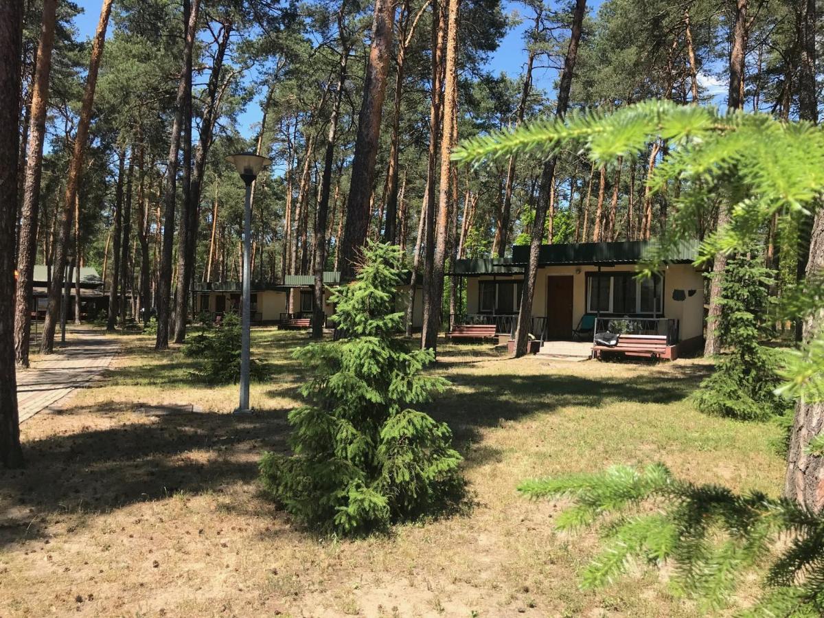 Hotel Eljot Sielpia Wielka Εξωτερικό φωτογραφία
